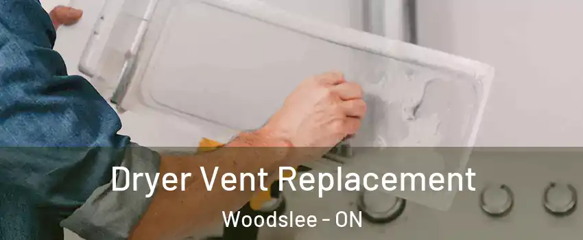  Dryer Vent Replacement Woodslee - ON
