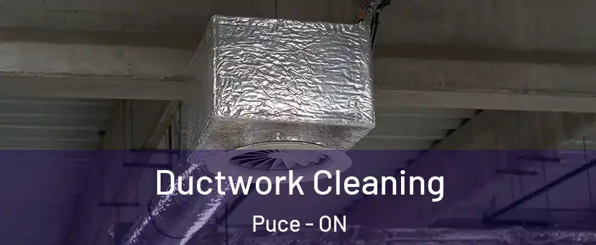  Ductwork Cleaning Puce - ON
