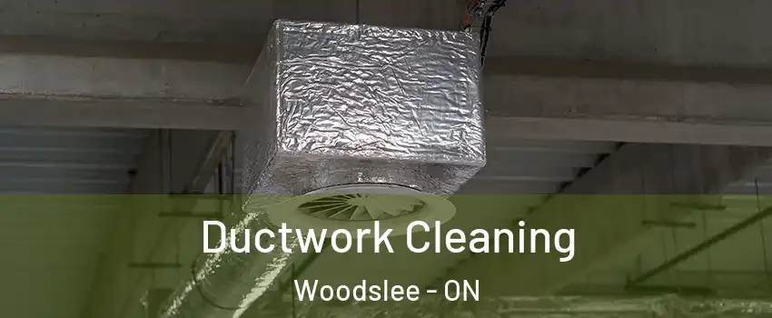  Ductwork Cleaning Woodslee - ON