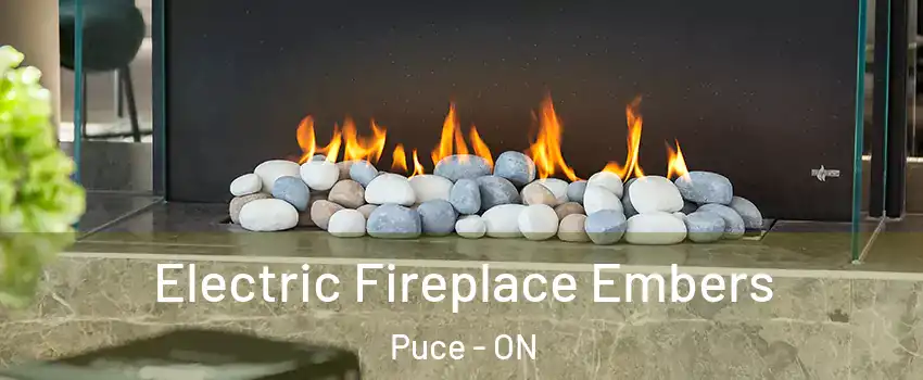  Electric Fireplace Embers Puce - ON