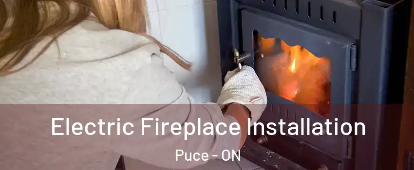  Electric Fireplace Installation Puce - ON