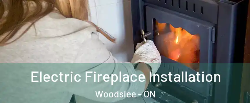  Electric Fireplace Installation Woodslee - ON