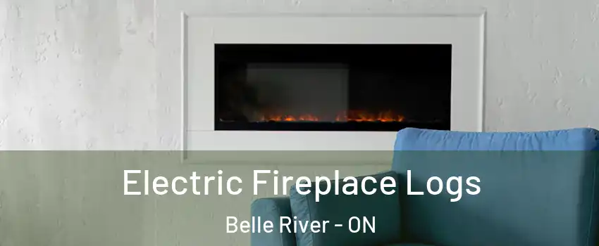  Electric Fireplace Logs Belle River - ON