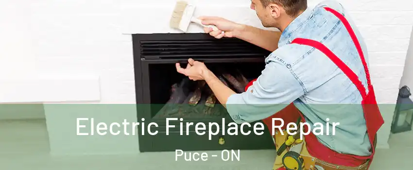  Electric Fireplace Repair Puce - ON