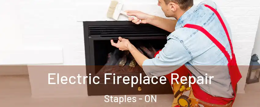  Electric Fireplace Repair Staples - ON
