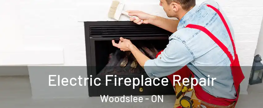  Electric Fireplace Repair Woodslee - ON