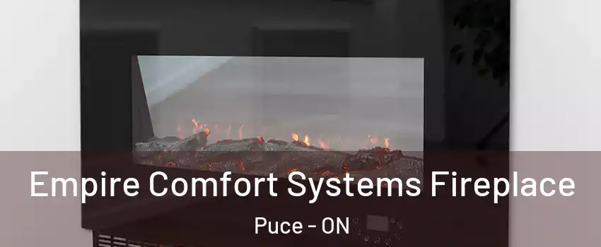  Empire Comfort Systems Fireplace Puce - ON