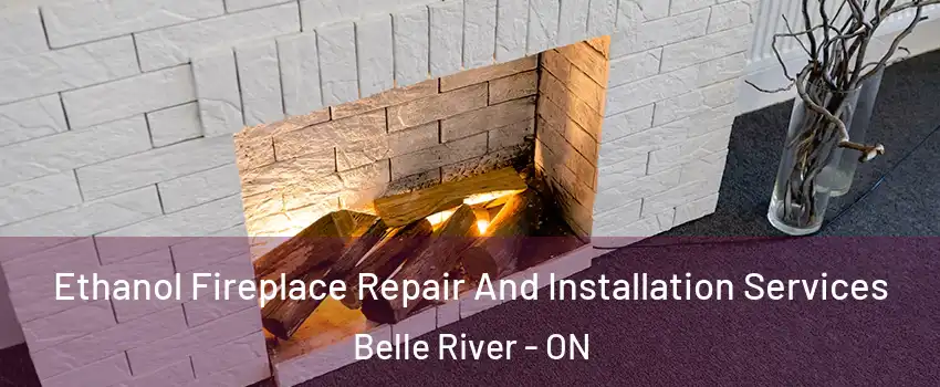  Ethanol Fireplace Repair And Installation Services Belle River - ON
