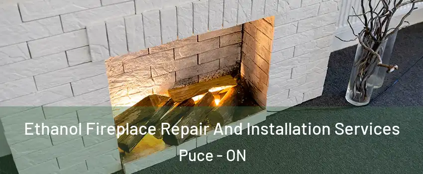  Ethanol Fireplace Repair And Installation Services Puce - ON