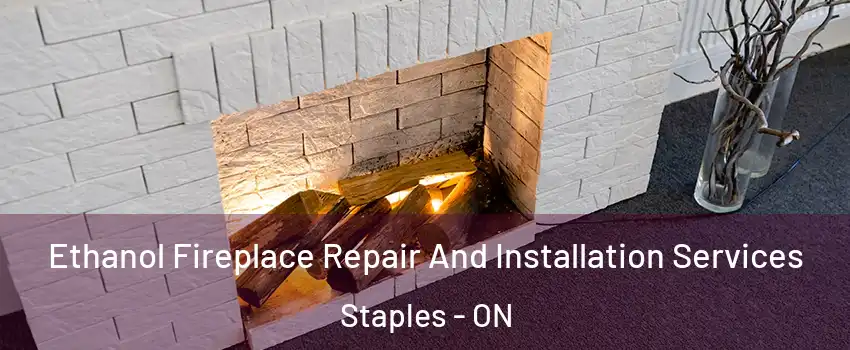  Ethanol Fireplace Repair And Installation Services Staples - ON