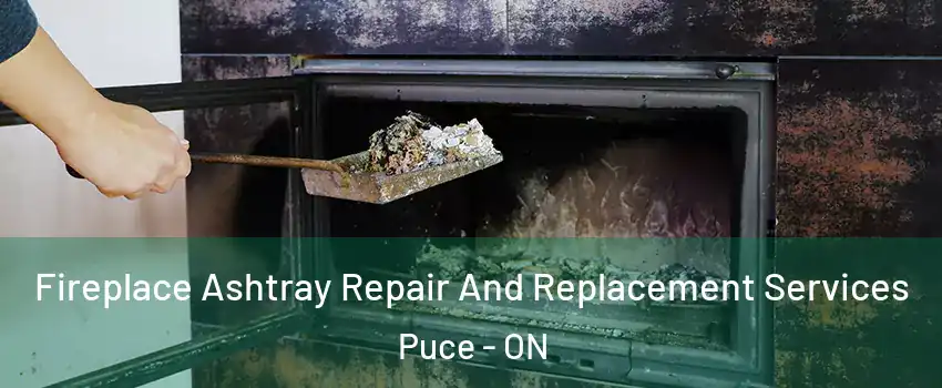  Fireplace Ashtray Repair And Replacement Services Puce - ON