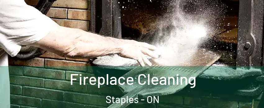  Fireplace Cleaning Staples - ON