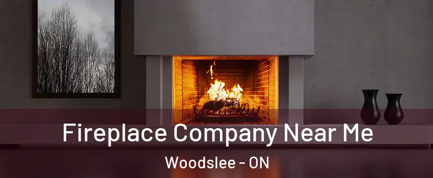  Fireplace Company Near Me Woodslee - ON