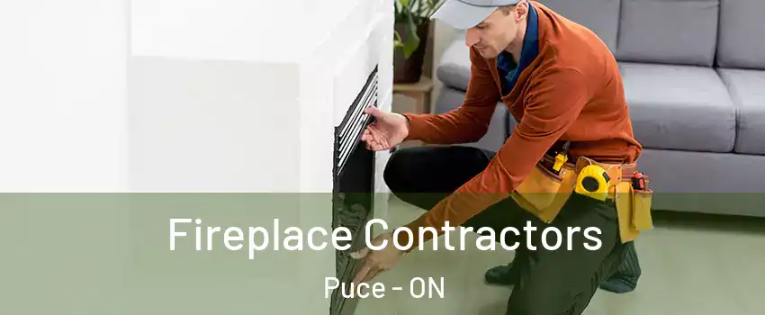  Fireplace Contractors Puce - ON