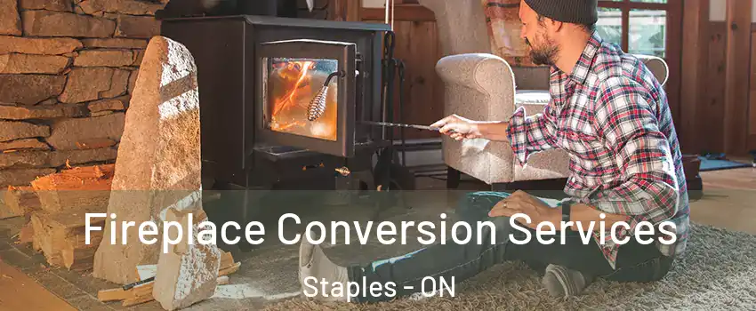  Fireplace Conversion Services Staples - ON