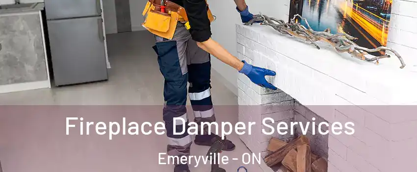  Fireplace Damper Services Emeryville - ON