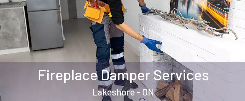  Fireplace Damper Services Lakeshore - ON