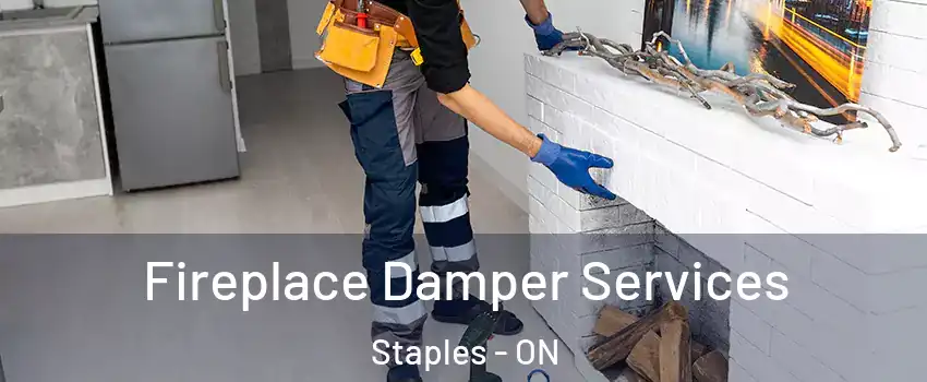  Fireplace Damper Services Staples - ON