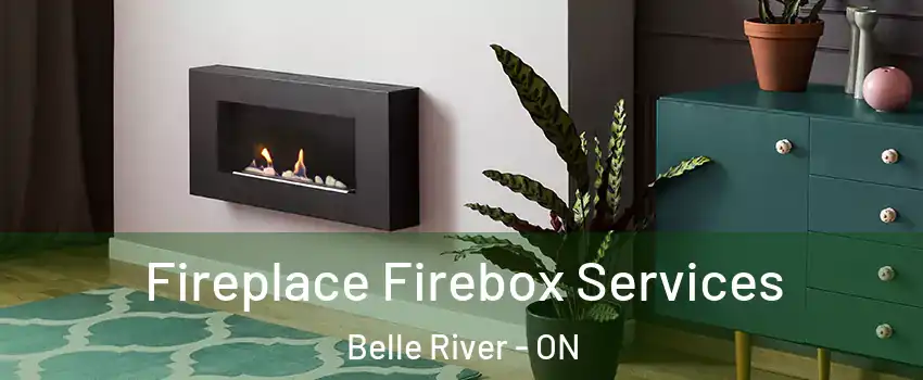  Fireplace Firebox Services Belle River - ON