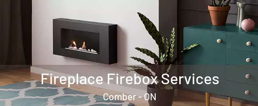  Fireplace Firebox Services Comber - ON