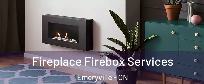  Fireplace Firebox Services Emeryville - ON