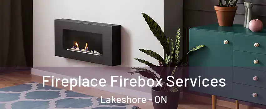  Fireplace Firebox Services Lakeshore - ON
