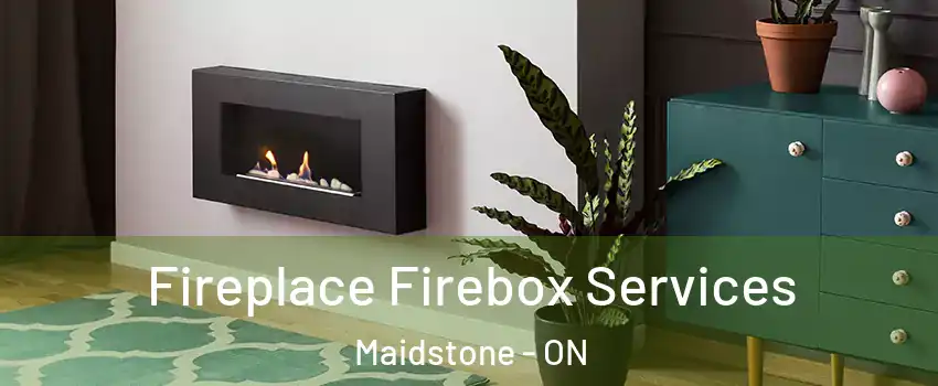  Fireplace Firebox Services Maidstone - ON