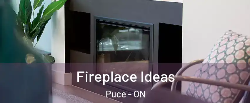  Fireplace Ideas Puce - ON