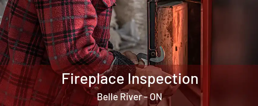  Fireplace Inspection Belle River - ON