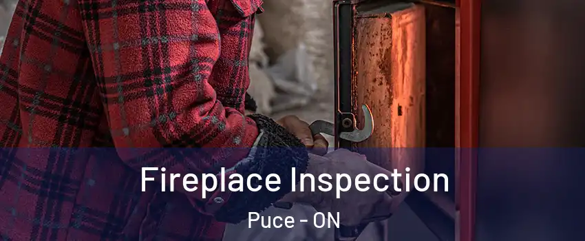  Fireplace Inspection Puce - ON