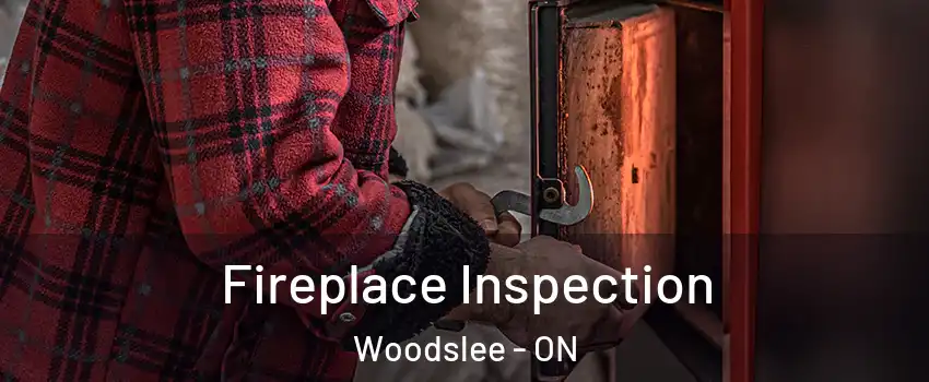  Fireplace Inspection Woodslee - ON