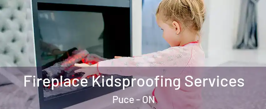  Fireplace Kidsproofing Services Puce - ON
