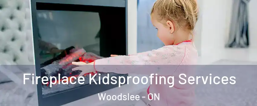  Fireplace Kidsproofing Services Woodslee - ON