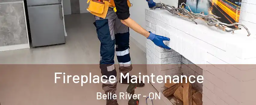 Fireplace Maintenance Belle River - ON