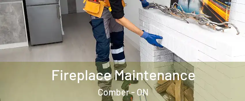  Fireplace Maintenance Comber - ON