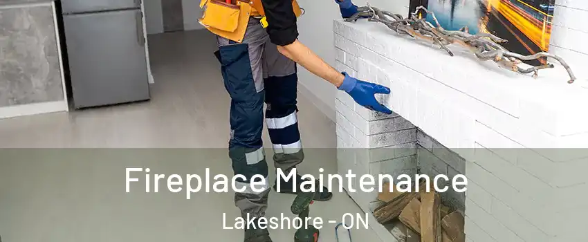  Fireplace Maintenance Lakeshore - ON