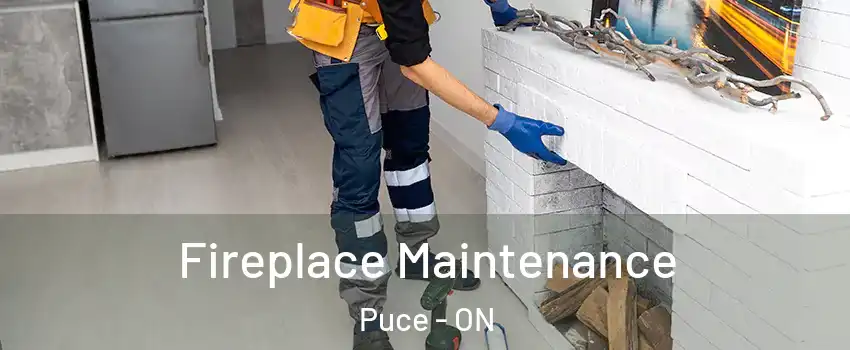  Fireplace Maintenance Puce - ON