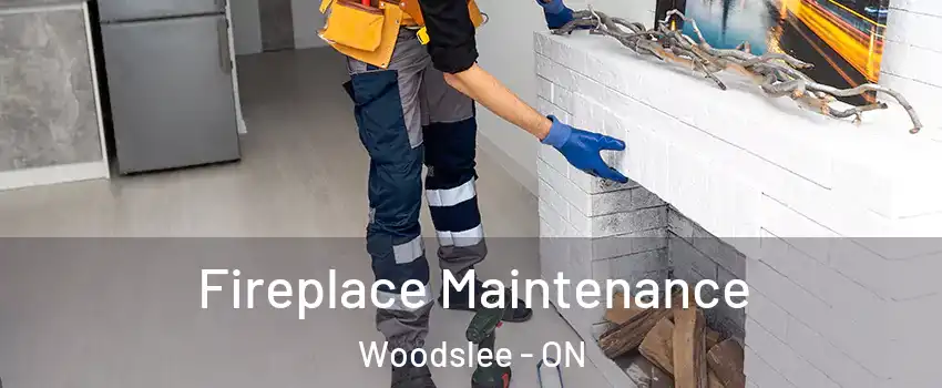  Fireplace Maintenance Woodslee - ON