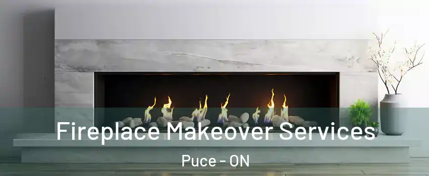 Fireplace Makeover Services Puce - ON
