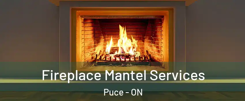  Fireplace Mantel Services Puce - ON