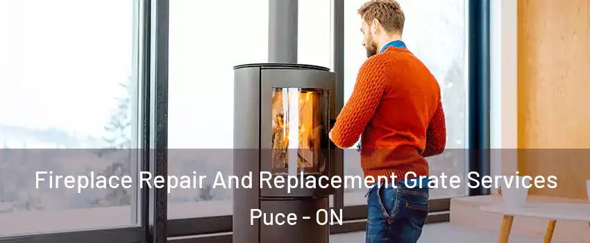  Fireplace Repair And Replacement Grate Services Puce - ON