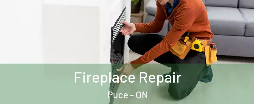  Fireplace Repair Puce - ON