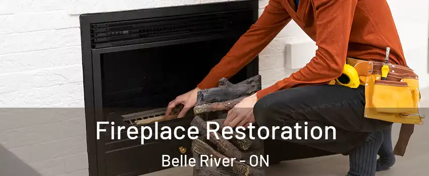  Fireplace Restoration Belle River - ON