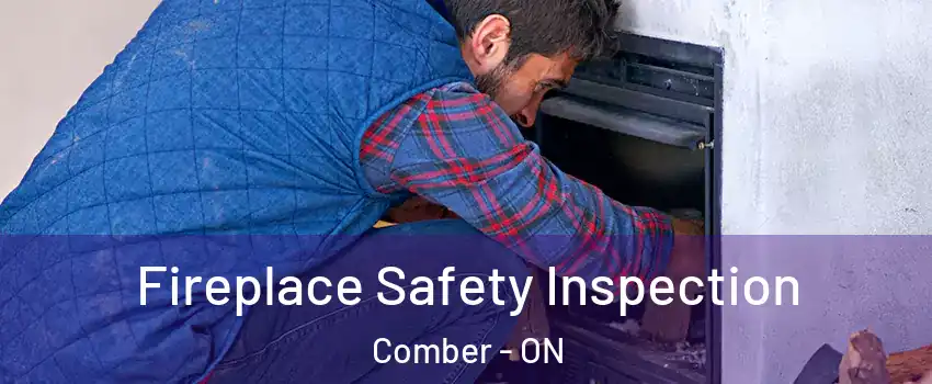  Fireplace Safety Inspection Comber - ON