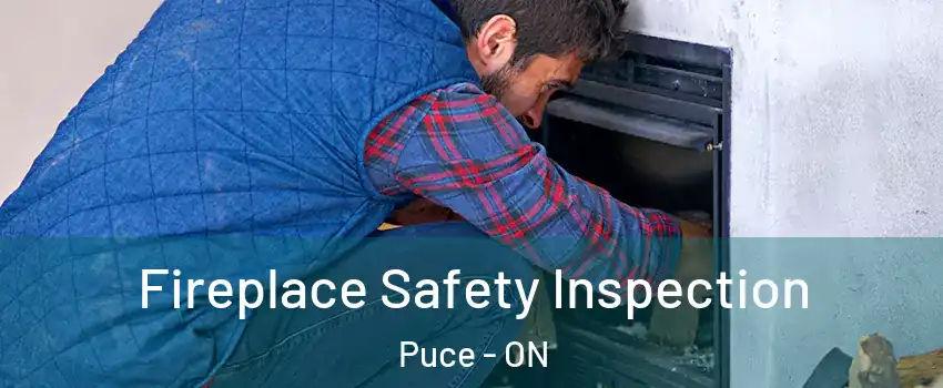  Fireplace Safety Inspection Puce - ON