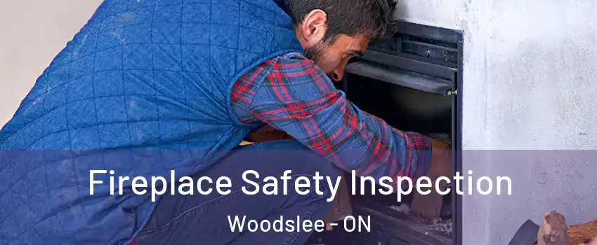  Fireplace Safety Inspection Woodslee - ON
