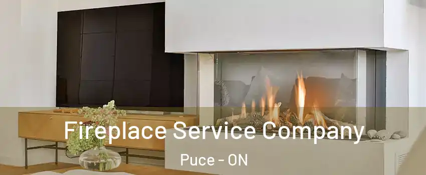  Fireplace Service Company Puce - ON