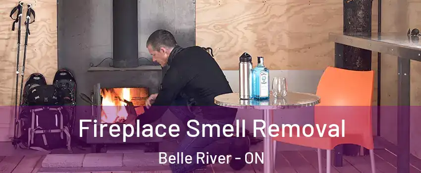  Fireplace Smell Removal Belle River - ON
