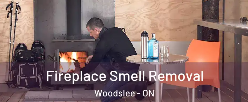  Fireplace Smell Removal Woodslee - ON