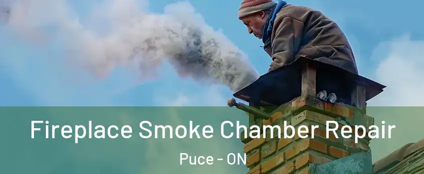  Fireplace Smoke Chamber Repair Puce - ON